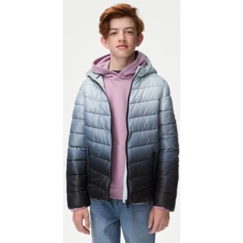 Boys Light Weight Ombre Padded Coat (6-16 Yrs) - - M&S Collection - Modalova