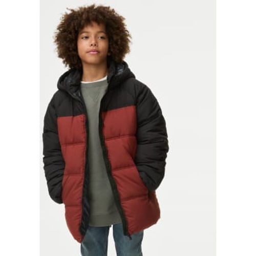 Boys Padded Coat (6-16 Yrs) - - M&S Collection - Modalova