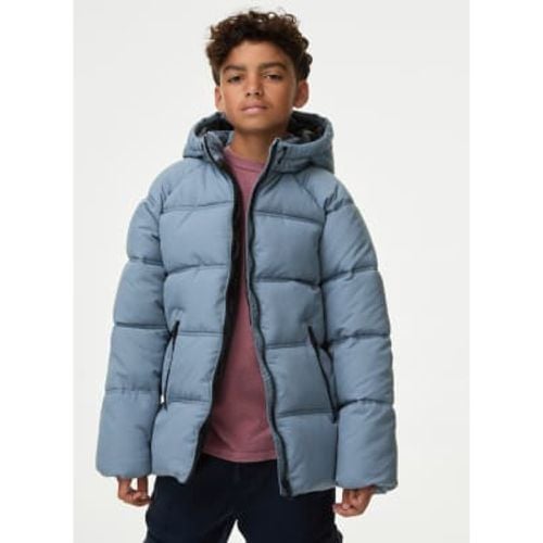 Boys Padded Coat (6-16 Yrs) - - M&S Collection - Modalova