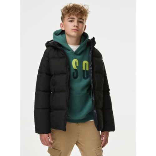 Boys Padded Coat (6-16 Yrs) - - M&S Collection - Modalova