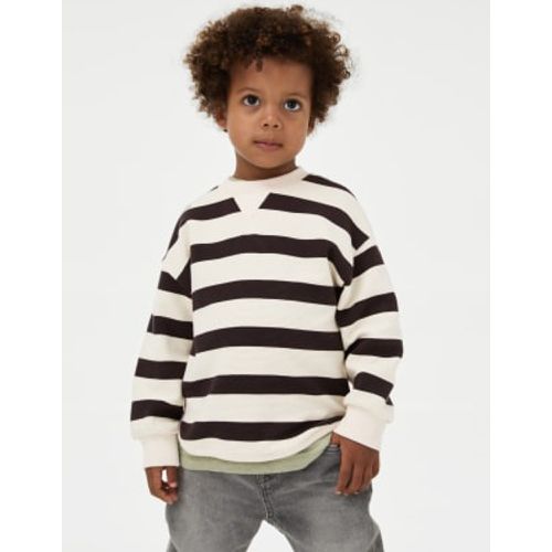 Boys Cotton Rich Striped Top (1-16 Yrs) - - M&S Collection - Modalova