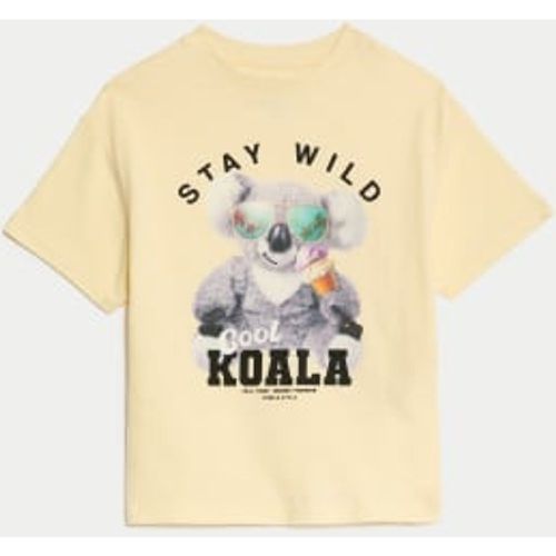 Boys Pure Cotton Koala Graphic T-Shirt (2-8 Yrs) - - M&S Collection - Modalova