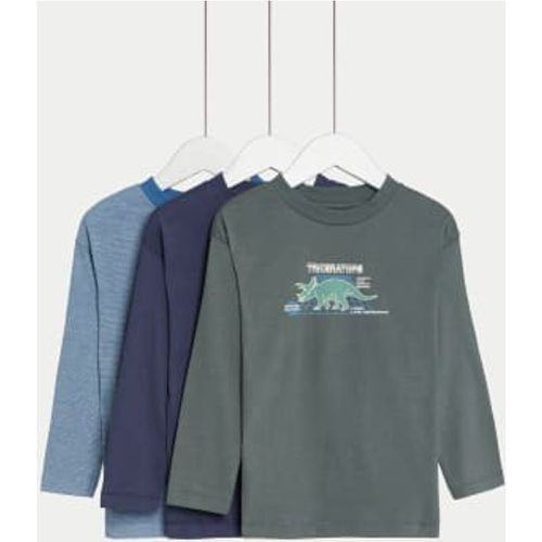 Boys 3pk Pure Cotton Striped & Dino Tops (2-8 Yrs) - - M&S Collection - Modalova