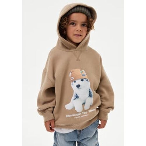 Boys Cotton Rich Dog Hoodie (2-8 Yrs) - - M&S Collection - Modalova