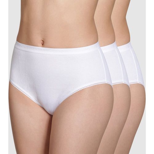 Pack of 3 Maxi Knickers in Cotton - Dim - Modalova