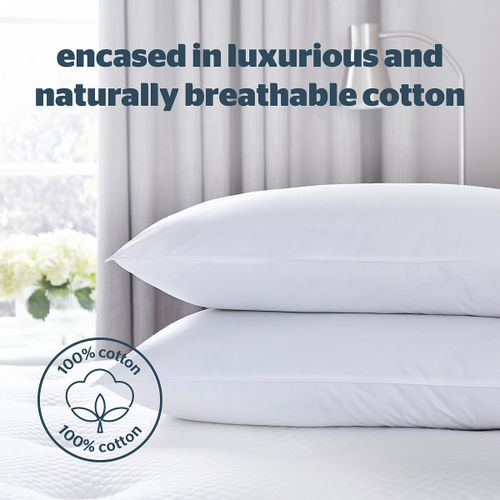Pure Cotton Pillow Pair - Silentnight - Modalova