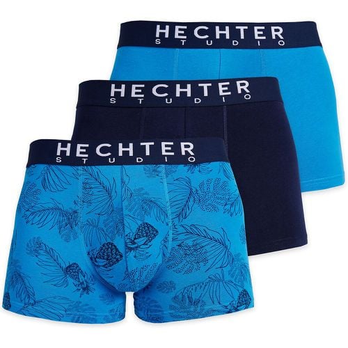 Pack of 3 Hipsters in Cotton - DANIEL HECHTER LINGERIE - Modalova