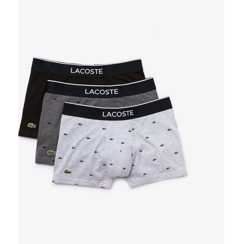 Pack of 3 Cotton Hipsters - Lacoste - Modalova