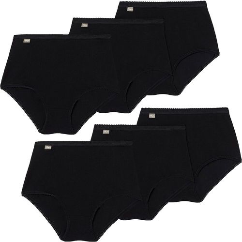 Pack of 6 Maxi Knickers in Cotton - Playtex - Modalova