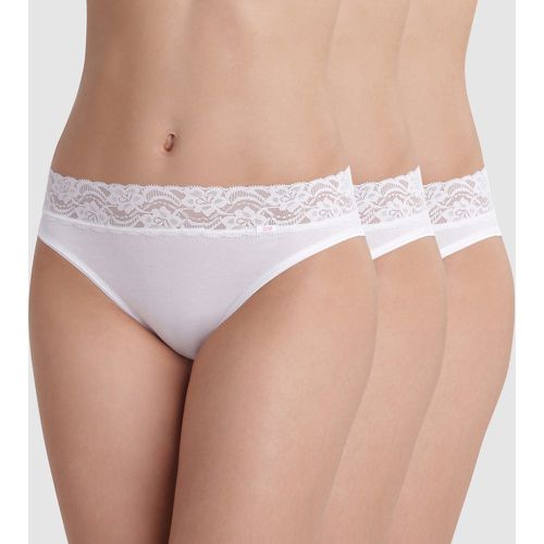 Pack of 3 Feminine Midi Knickers in Stretch Cotton - Dim - Modalova