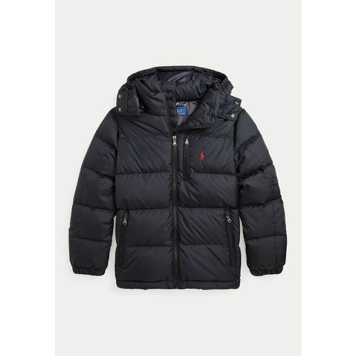 Hooded Padded Jacket - Polo Ralph Lauren - Modalova