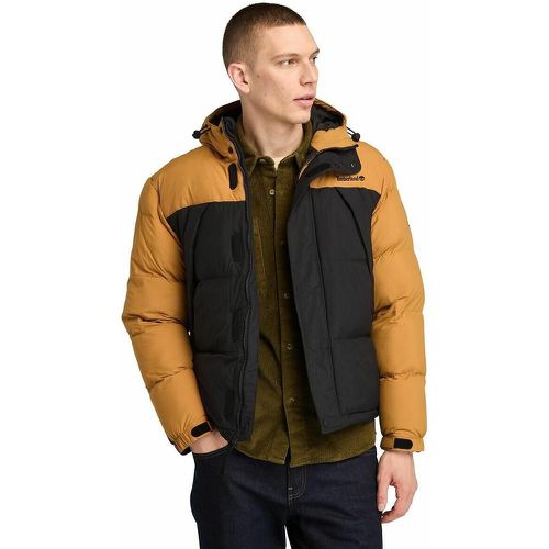 Embroidered Logo Padded Jacket - Timberland - Modalova