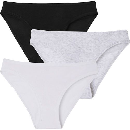 Pack of 3 Knickers in Cotton - PETIT BATEAU - Modalova