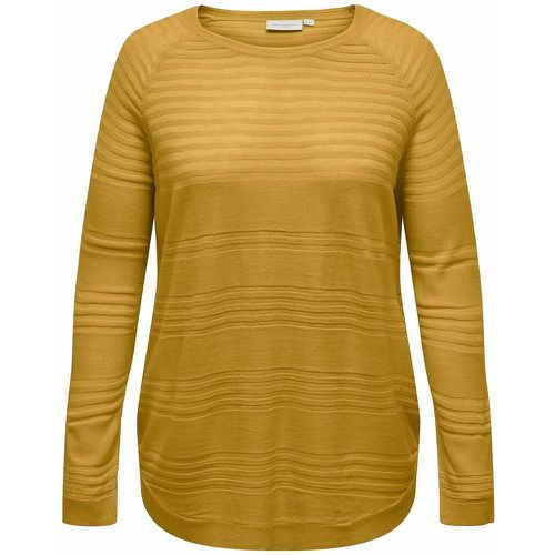 Striped Crew Neck Jumper - ONLY CARMAKOMA - Modalova