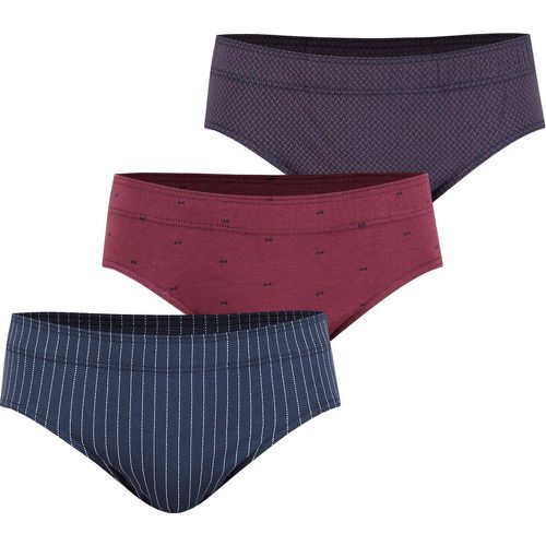 Pack of 3 Cotton Briefs - Eminence - Modalova