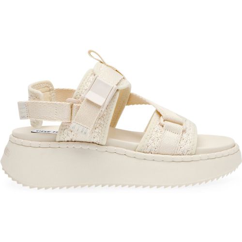 Decorum Wedge Sandals - Steve Madden - Modalova