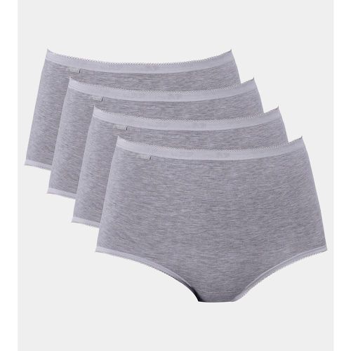 Pack of 4 Basic Maxi Knickers in Cotton - Sloggi - Modalova