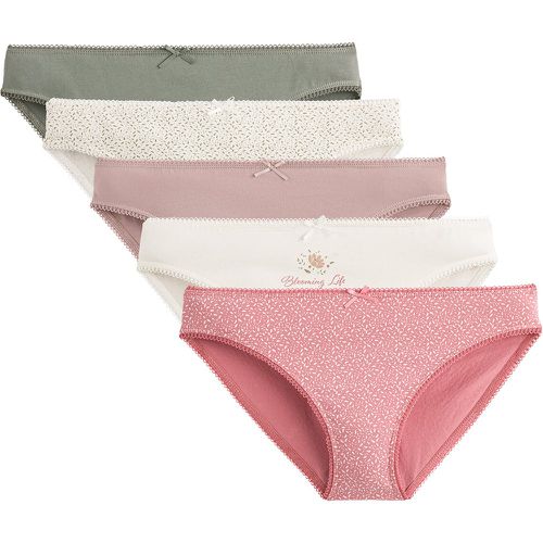 Pack of 5 Knickers in Stretch Cotton - LA REDOUTE COLLECTIONS - Modalova