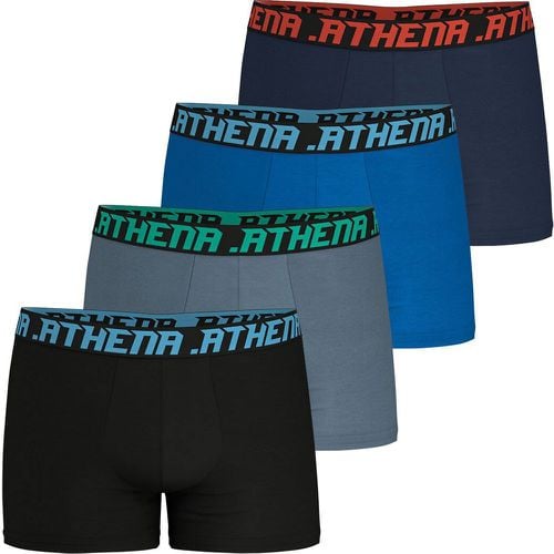 Pack of 4 My Petit Prix Hipsters in Cotton - Athena - Modalova