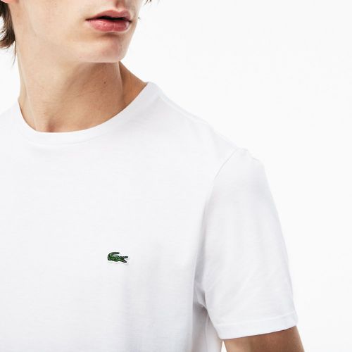Embroidered Logo T-Shirt in Jersey Cotton with Crew Neck - Lacoste - Modalova