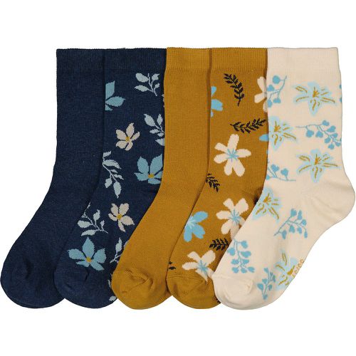 Pack of 5 Pairs of Crew Socks in Cotton Mix - LA REDOUTE COLLECTIONS - Modalova