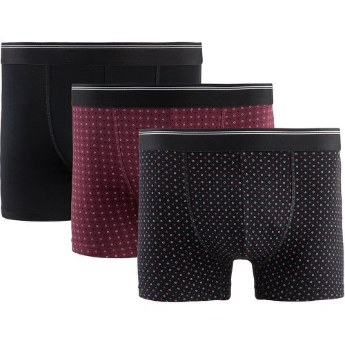 Pack of 3 Hipsters - LA REDOUTE COLLECTIONS - Modalova