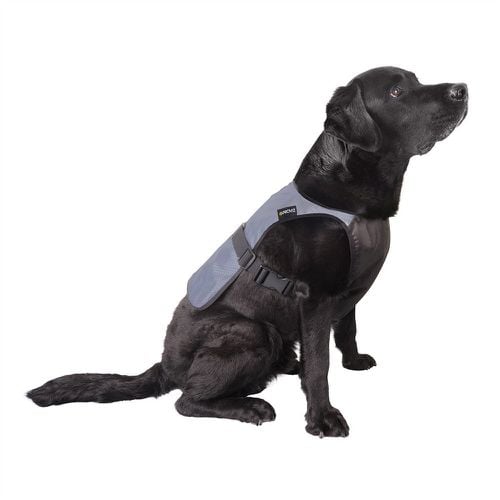 Fully Reflective Explorer Dog Vest - Proviz - Modalova