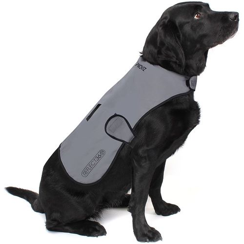 Reflective Waterproof Dog Coat - Proviz - Modalova