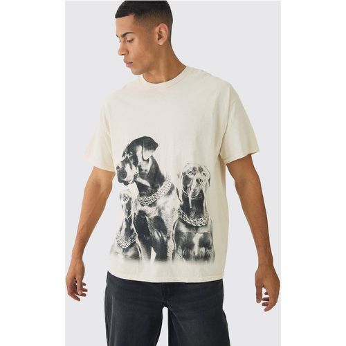 Washed Dog Graphic T-Shirt, Cream - boohoo - Modalova