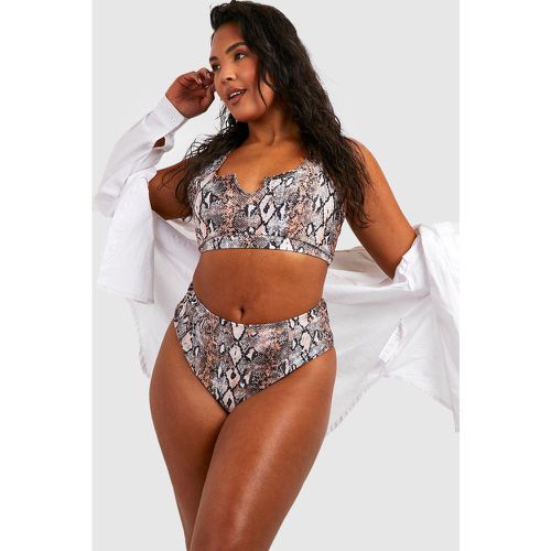 Slip bikini Plus Size Essentials a vita alta con stampa effetto pelle di serpente - boohoo - Modalova