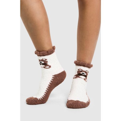 Calcetines Suaves Con Osito, Brown - boohoo - Modalova