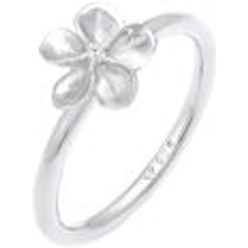 Ring Frangipani Blüte Blume Zirkonia 925 Silber (Farbe: Silber, Größe: 52 mm) - NENALINA - Modalova