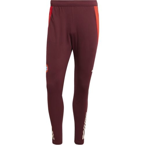 Pantaloni da allenamento Bayern Munich 2024/25 - Adidas - Modalova