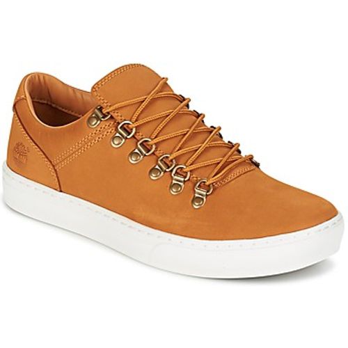 ADV 2.0 CUPSOLE ALPINE OX men's Shoes (Trainers) in - Timberland - Modalova