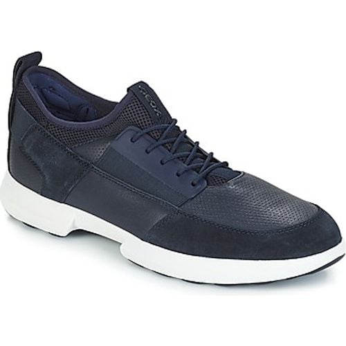 TRACCIA men's Shoes (Trainers) in - Geox - Modalova