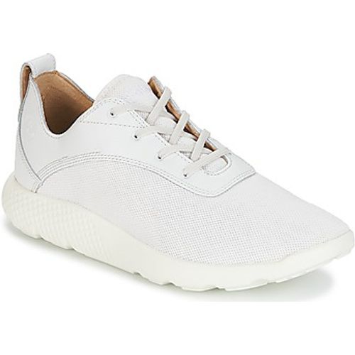 FLYROAM men's Shoes (Trainers) in - Timberland - Modalova