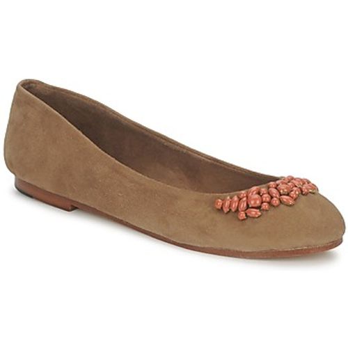 DUFFY women's Shoes (Pumps / Ballerinas) in - Ambre Babzoe - Modalova