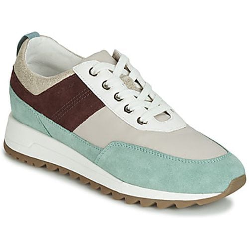 D TABELYA women's Shoes (Trainers) in - Geox - Modalova