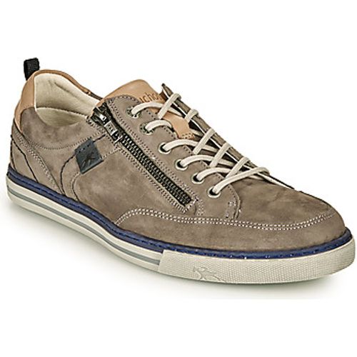 QUEBEC men's Shoes (Trainers) in - Fluchos - Modalova