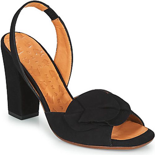 ANAMI women's Sandals in - Chie Mihara - Modalova