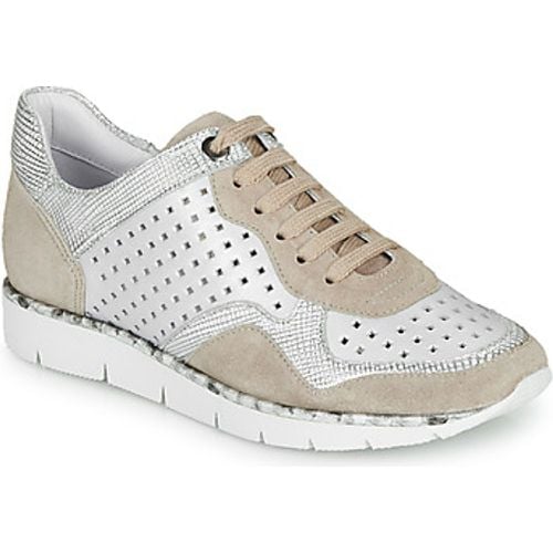 JARD V4 CROSTA P STONE women's Shoes (Trainers) in - Regard - Modalova