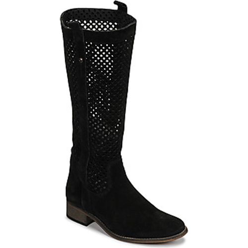 DIVOUI women's High Boots in - Betty London - Modalova