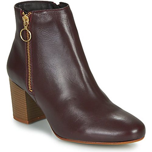 NILIVE women's Low Ankle Boots in - Betty London - Modalova