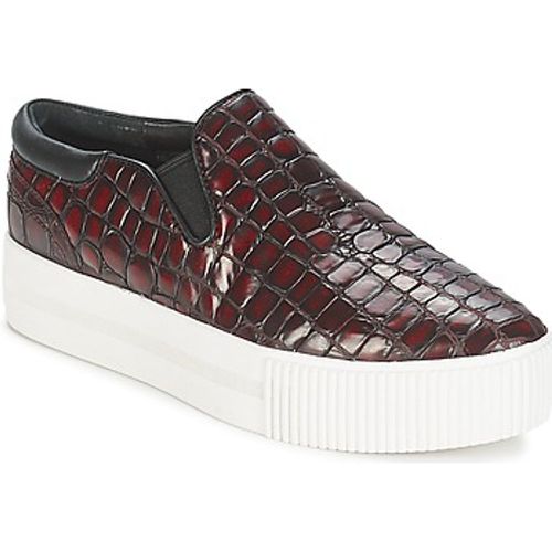 KARMA women's Slip-ons (Shoes) in - Ash - Modalova