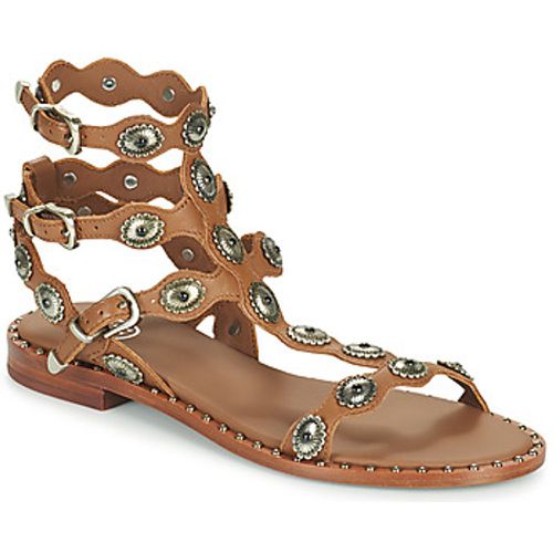 PHOENIX women's Sandals in - Ash - Modalova