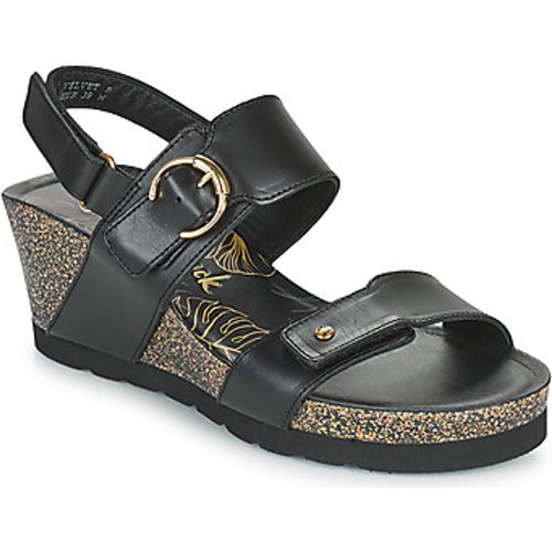 VELVET women's Sandals in - Panama Jack - Modalova