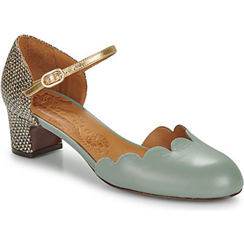 UKUMA women's Shoes (Pumps / Ballerinas) in - Chie Mihara - Modalova