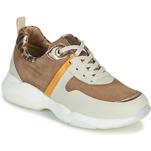 WILO women's Shoes (Trainers) in - JB Martin - Modalova