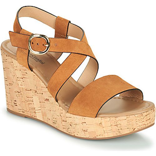 JIPPO women's Sandals in - NeroGiardini - Modalova