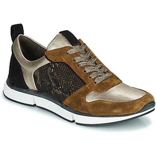 VANILLE2 V3 GALAXY ONYX women's Shoes (Trainers) in - Adige - Modalova